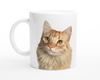 Pet Mugs